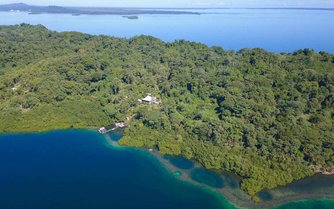 Finca Vela Lodge Бокас-дель-Торо Экстерьер фото