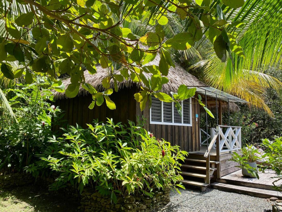 Finca Vela Lodge Бокас-дель-Торо Экстерьер фото