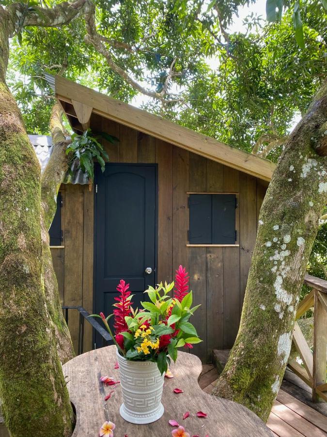 Finca Vela Lodge Бокас-дель-Торо Экстерьер фото
